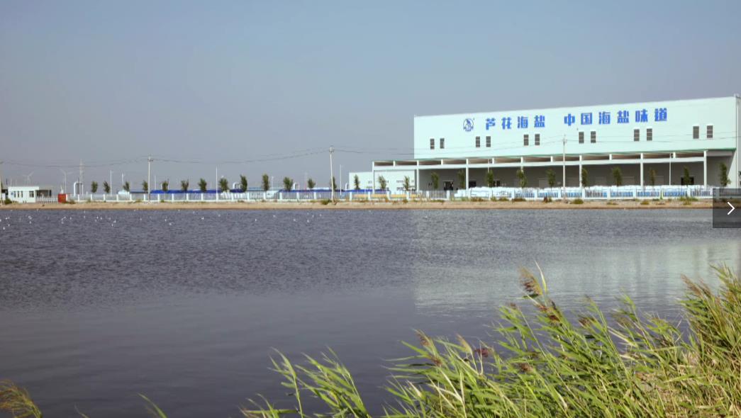 ���B(ni��o)