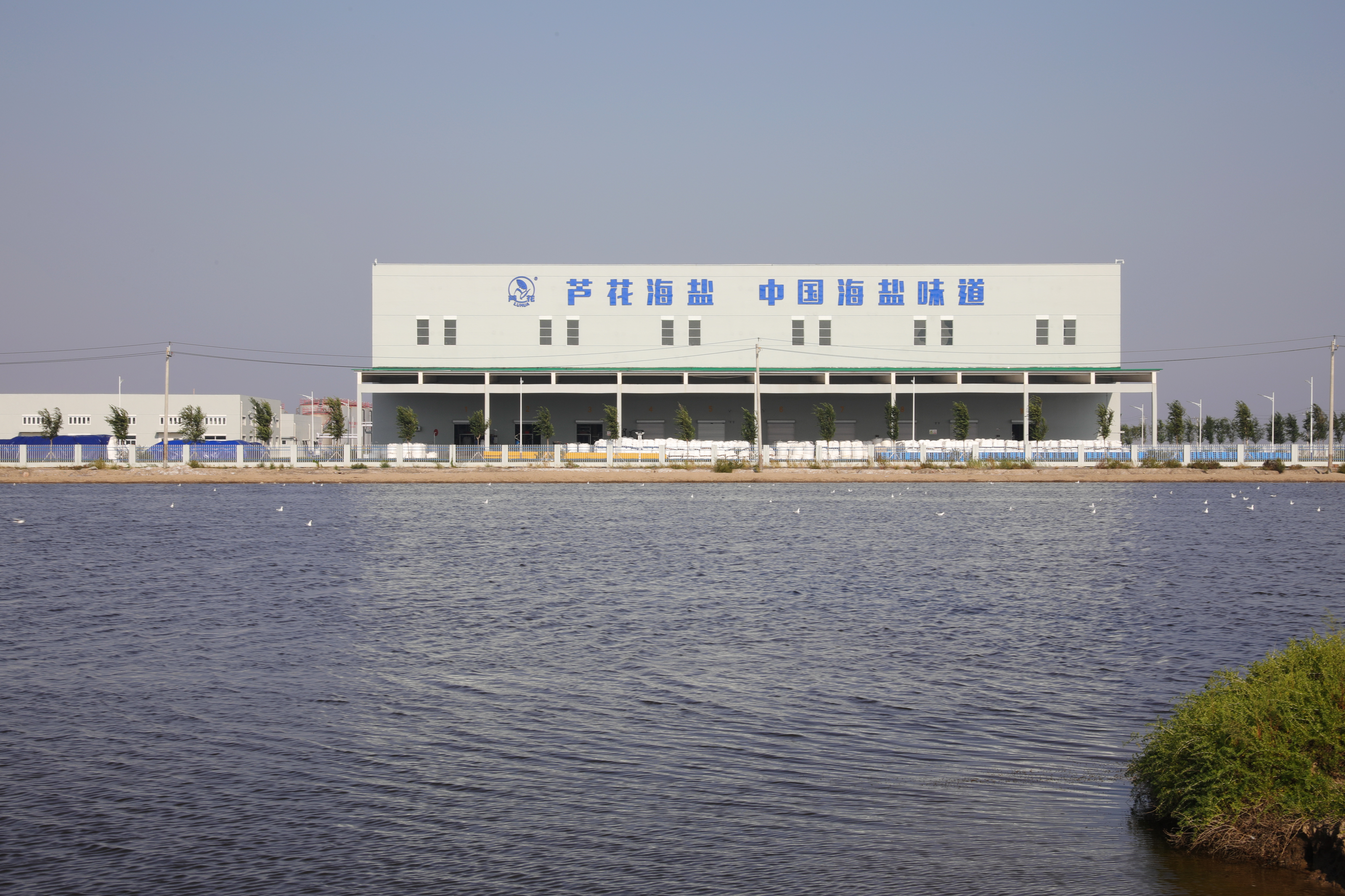 2025�깫˾Σ�U(xi��n)�U����Ⱦ������Ϣ