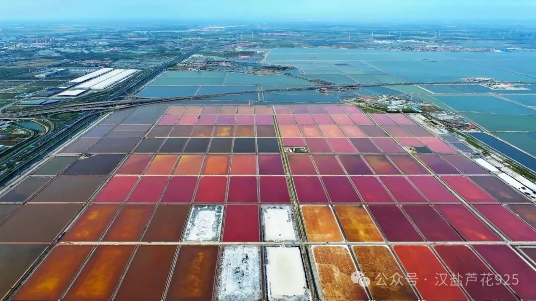 聚焦|七彩鹽田走進(jìn)2025海河國(guó)際消費(fèi)論壇