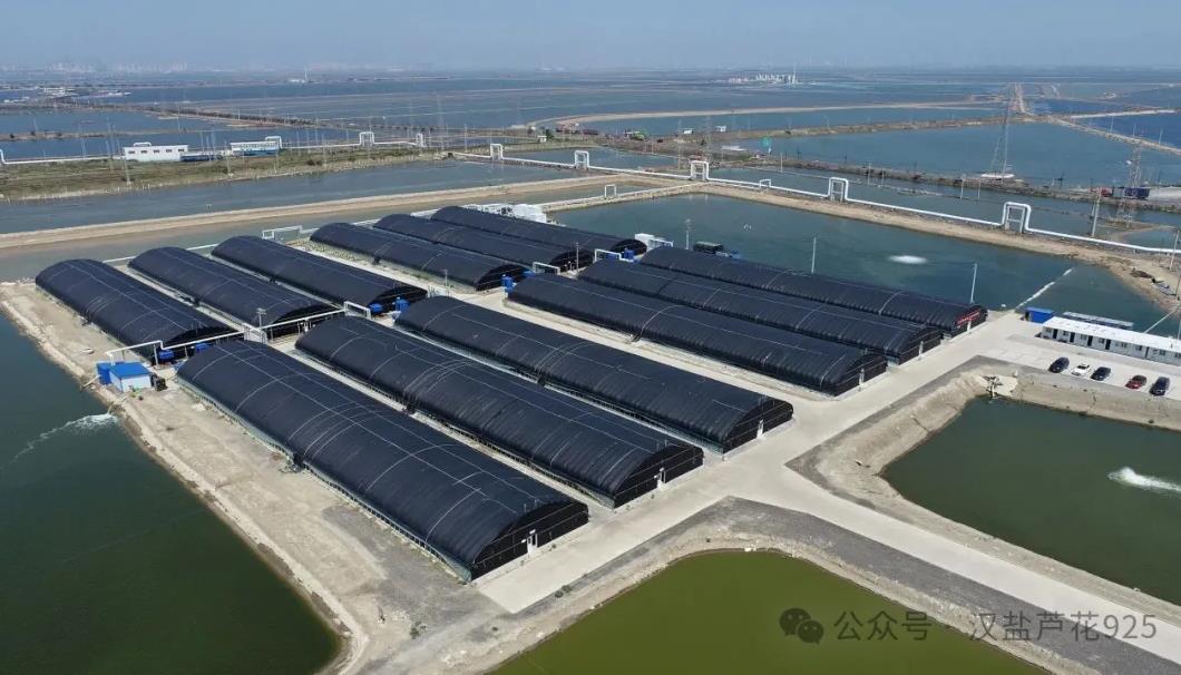 ϲ��(b��o) | ��˾�@��ˮ��?y��n)�Ϳ�B(y��ng)ֳ�C