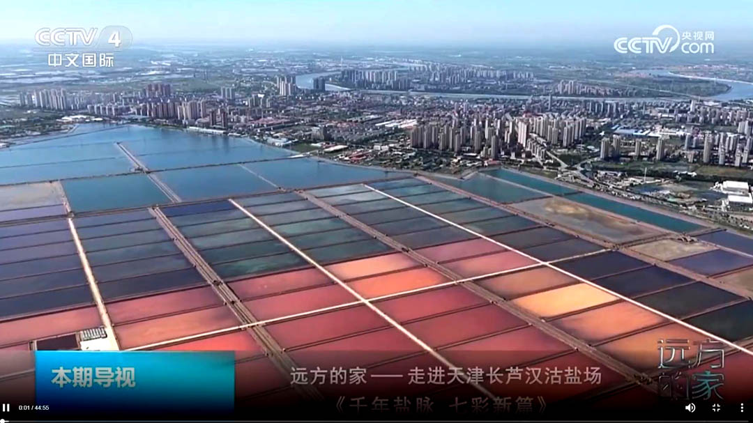 ��ҕ���h���ļҡ����M�h���}��ح��һ����ǧ���}�} �߲���ƪ�����c���[