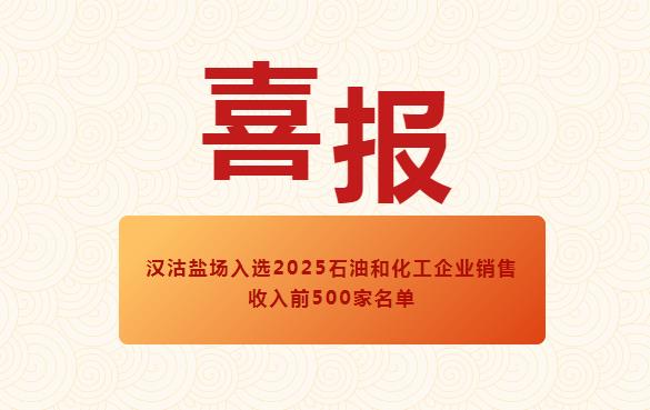 榮耀時(shí)刻丨漢沽鹽場(chǎng)入選2025石油和化工企業(yè)銷售收入前500家名單