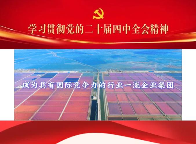 榮耀時(shí)刻丨漢沽鹽場(chǎng)順利通過DCMM穩(wěn)健級(jí)認(rèn)證